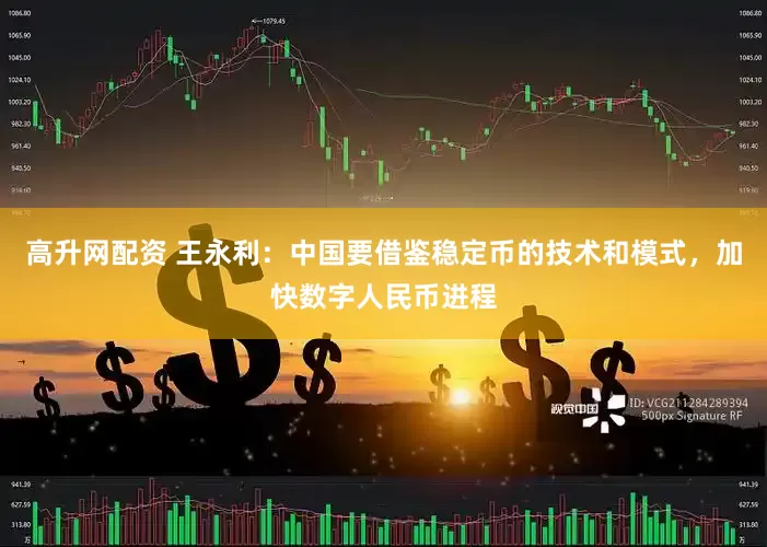 高升网配资 王永利：中国要借鉴稳定币的技术和模式，加快数字人民币进程