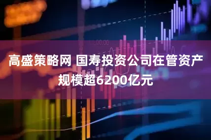 高盛策略网 国寿投资公司在管资产规模超6200亿元